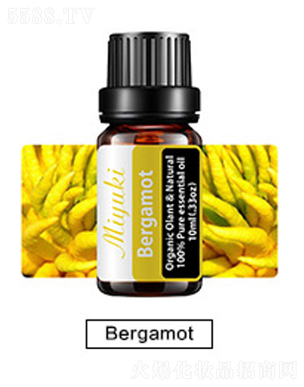 �V���׋I����Ƽ����޹�˾���o(h��)�w��޹��Ħ��-Bergamot���ָ�