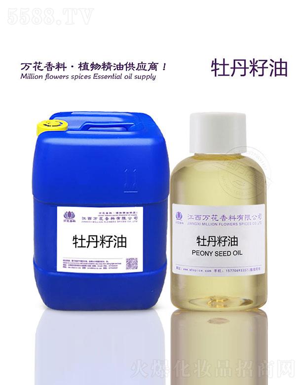 �����f(w��n)���������޹�˾���f(w��n)��ĵ������