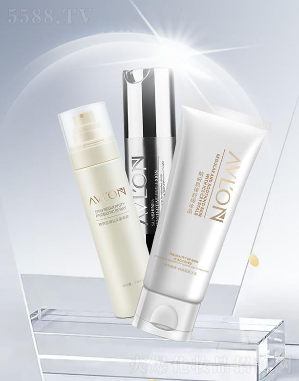 �ɶ��p��������Ƽ����޹�˾����ܽ�z����