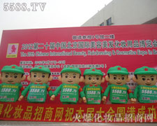 ÿ-�������c�_�ض�׌�҂��~�����