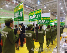 ��܊�F(tu��n)�P(y��ng)���ഺ���L(f��ng)��