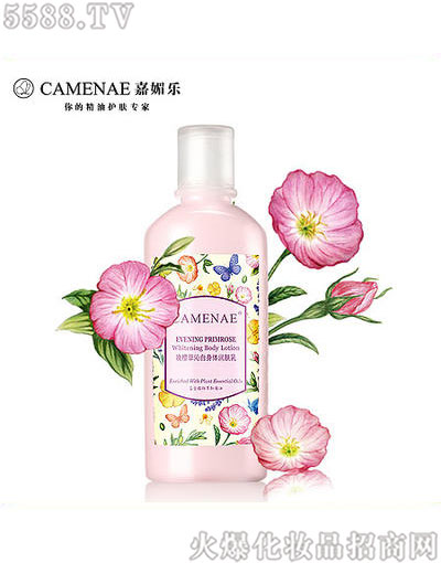 ���Ę���Ѳ����w���w��