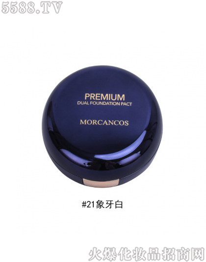 Ħ������p����ݚ�|21̖(h��o)