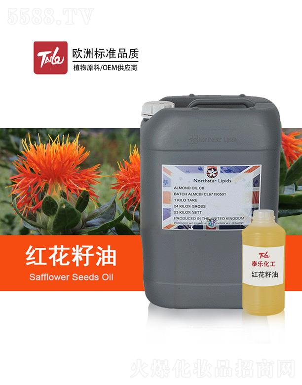 ̩���t������