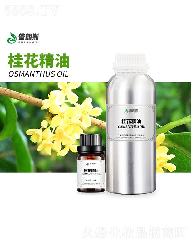 ����˹�𻨾���