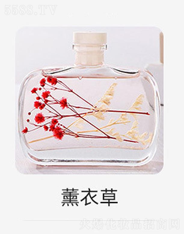 �o����޹����-޹�²�