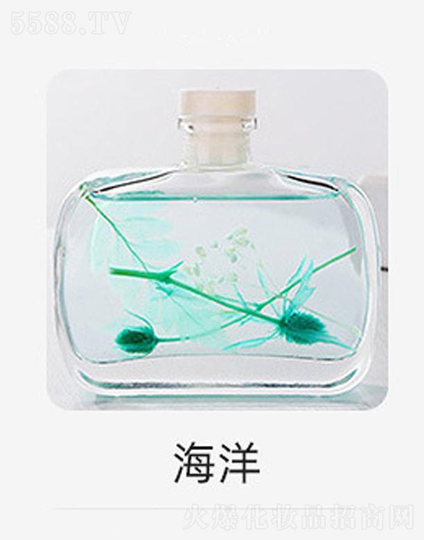 �o����޹����-����