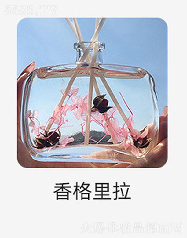 �o����޹����-�������