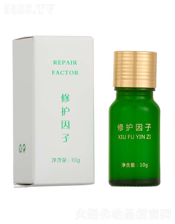 ���o���� 10g