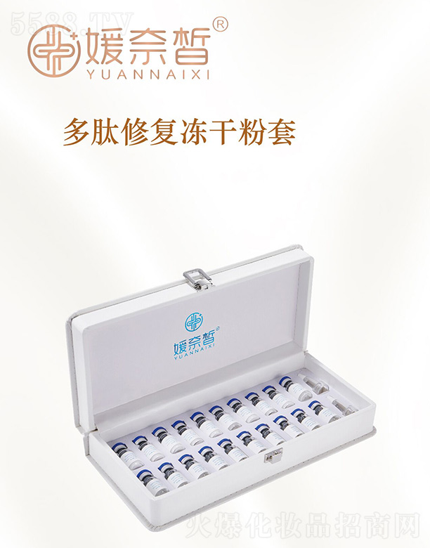 ���������ޏ�(f��)���ɷ���