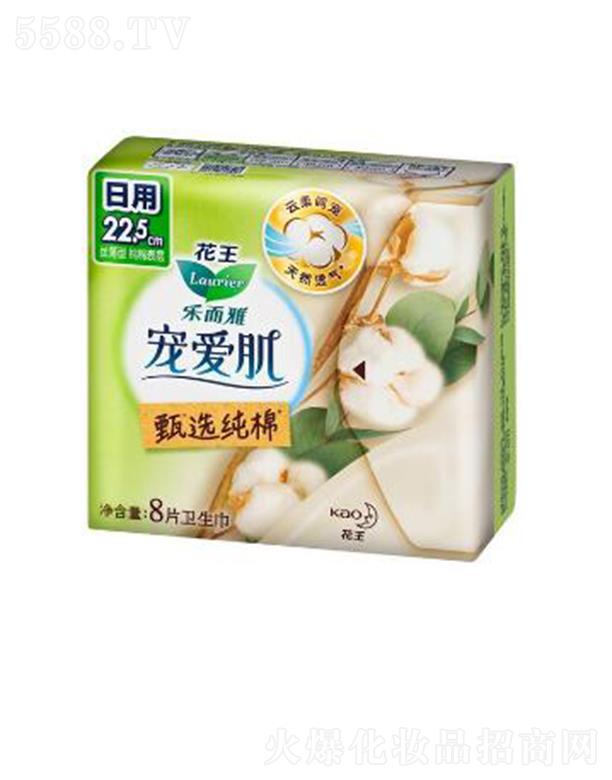 ��(l��)���Ō���(��i)�����x���޽z����22.5cm��8p��ס������ܛ