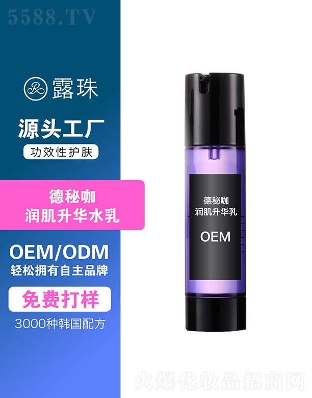 ¶������Ƽ�   �ؑc¶����ؿ��������A��   �����̝�