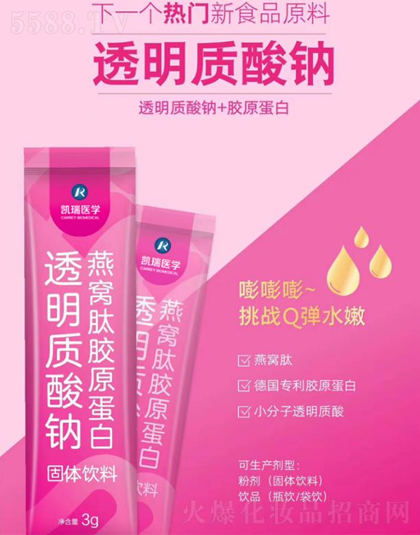 �P���t(y��)�W͸���|���c�����t������w���