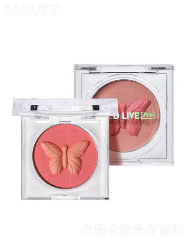 HOLD LIVE �����Ʋ����t