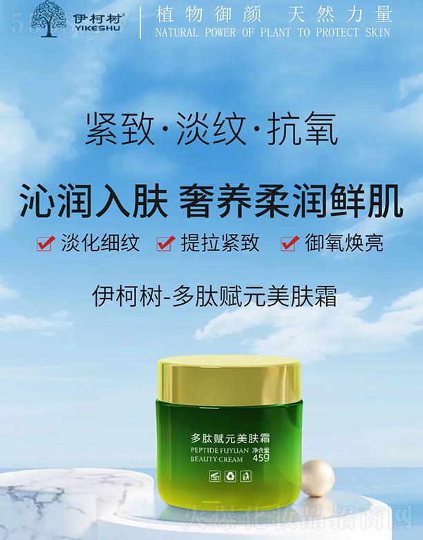 ����(sh��)�����xԪ���w˪