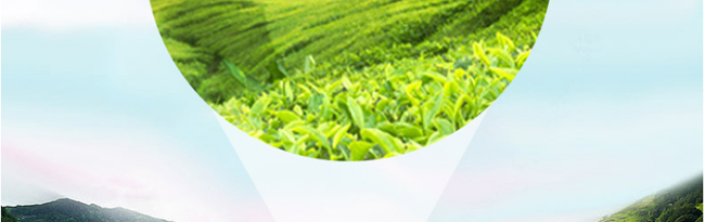 �����_(d��)���ɾ���