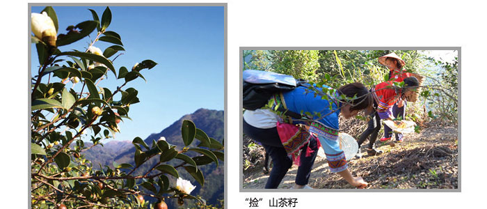 ���ϼ���-�Ř�ɽ����ϴ�l(f��)��