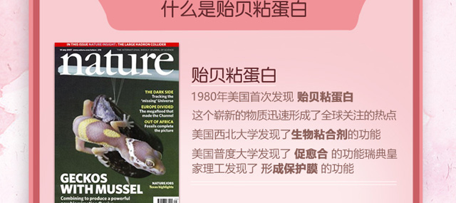 �Oؐճ�����ޏ�(f��)���Foem