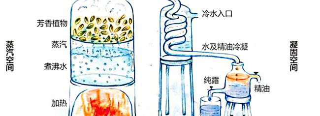 �؊}��޹�²ݼ�¶