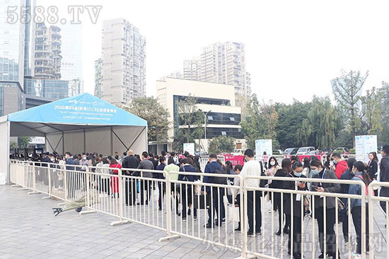 ����ʢ�磬�س��������44�óɶ����I(y��)���[��ʢ���_Ļ