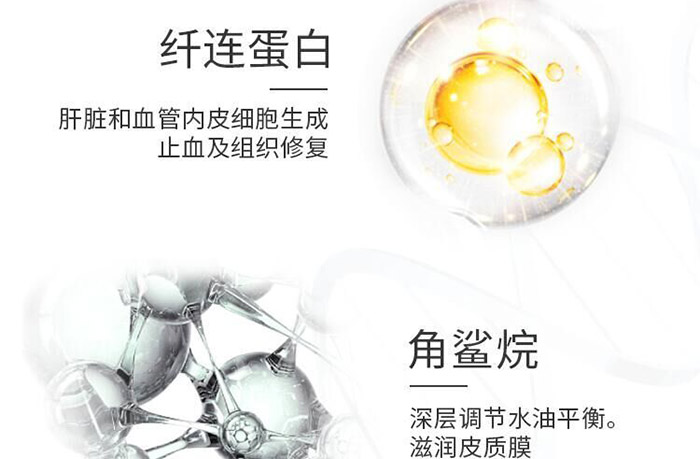 �w�B�������o�����