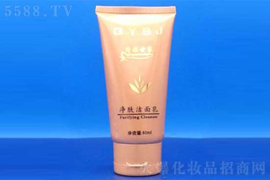 清顏世家凈膚潔面乳 清顏世家凈膚潔面乳