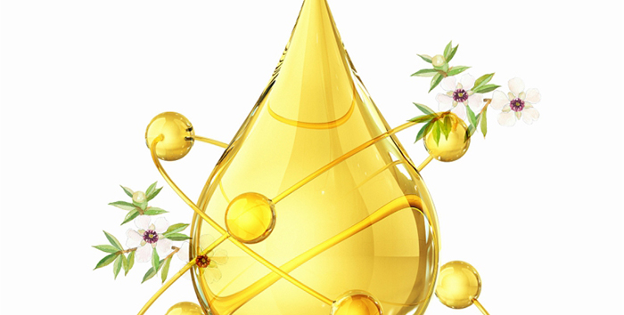 ؐ��ޱԊ�������R�����ȡ�С���z��