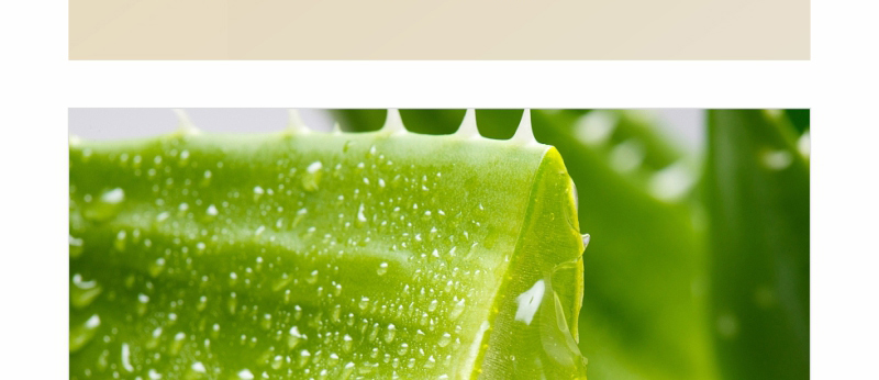 ؐ��ޱԊ�������R����Ч�ޏ���Ĥ