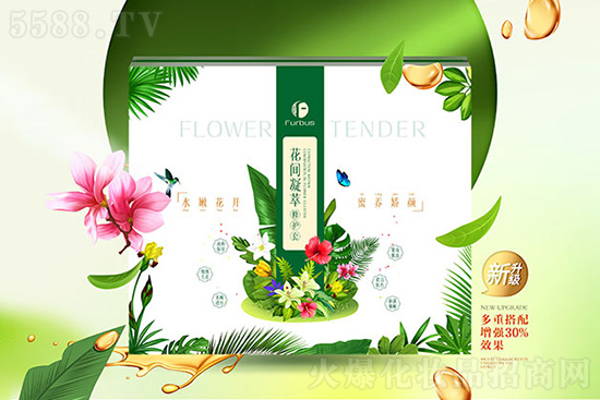 �t(y��)ʩ�����g�������o(h��)��