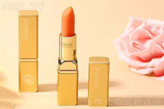 JESSKAYõ�徫���ޏʹ���