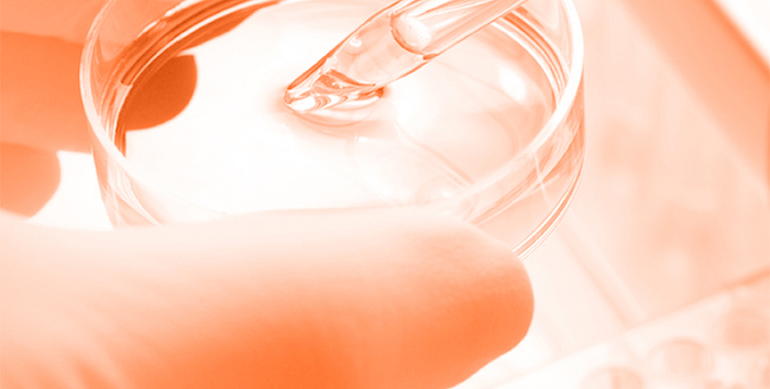 Piccoch����ݝ����ɷ��׺�