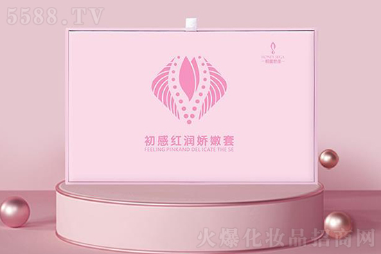 �������ѳ��мt��������